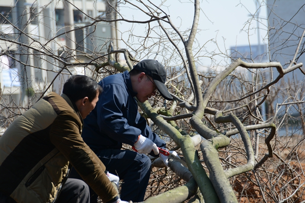 綠化現場