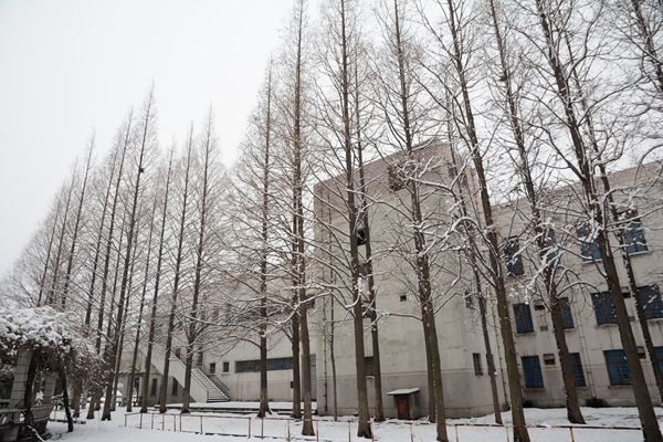 校園雪景